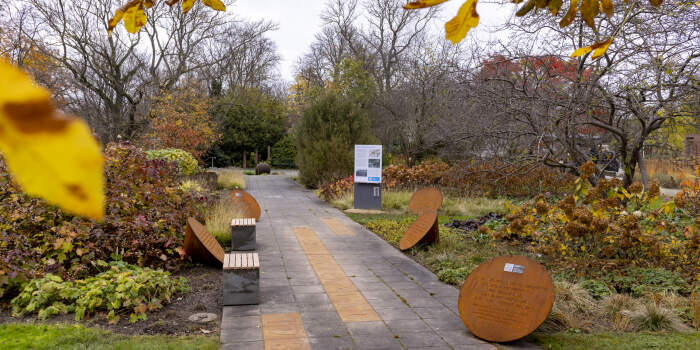 : Lesungen zur Langen Nacht im Denkort Bücherverbrennung